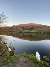 Neckar (Neckarsteinach)