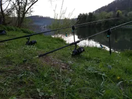 Neckar (Neckarsteinach)-2