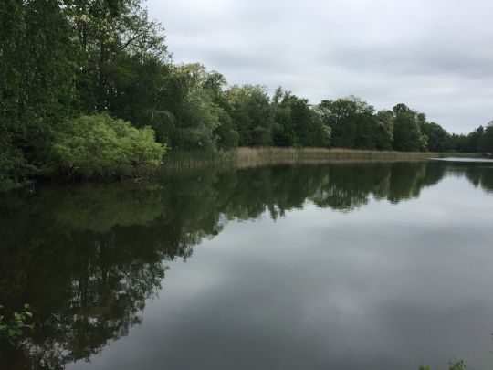 Neuer See (Falkensee)-2