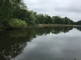 Neuer See (Falkensee)-2