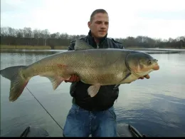 Neuer See (Falkensee)