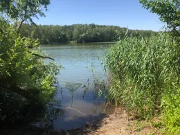 Neuer See (Falkensee)-4