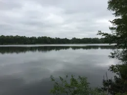 Neuer See (Falkensee)-3