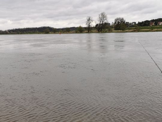 Elbe (Diera-Zehren)-1