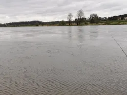 Elbe (Diera-Zehren)-1