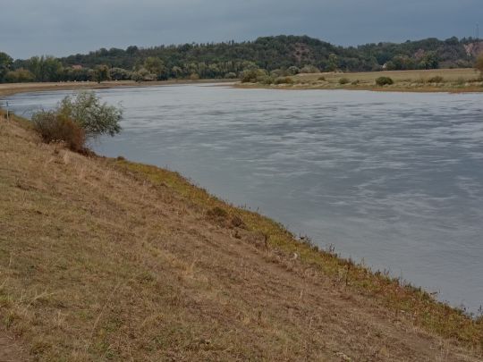 Elbe (Diera-Zehren)