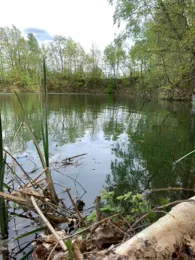 Steinbruch Neumark-1