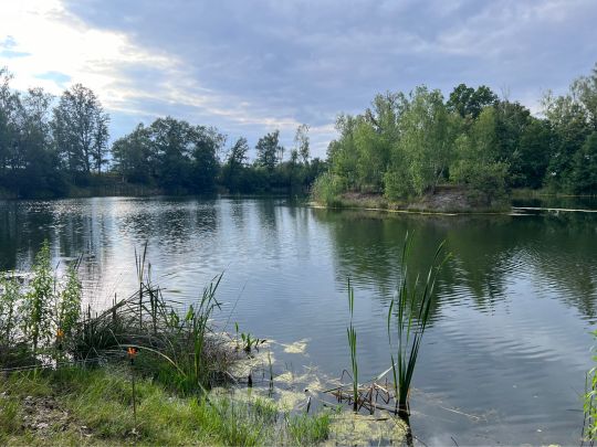 Tongrube Leisenau (Inselteich)-1