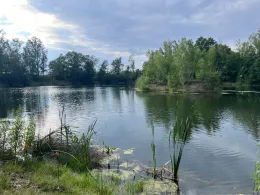 Tongrube Leisenau (Inselteich)-1