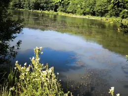 Möttauer Weiher-2