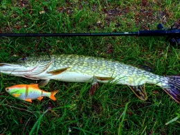 Hochstraßer See (Raubling)