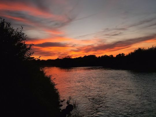 Aller (Wienhausen)-4