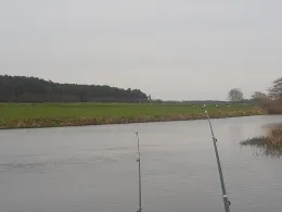 Aller (Wienhausen)-1