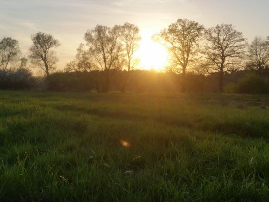 Aller (Wienhausen)-3