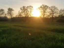 Aller (Wienhausen)-3