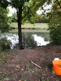 Nidda (Frankfurt-Bonames)