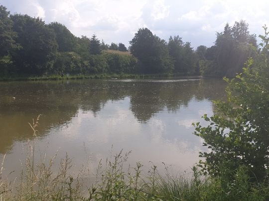 Nesselbachteich