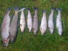 Angelpark Elbschetal-1