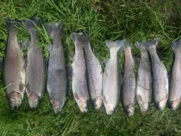 Angelpark Elbschetal-2