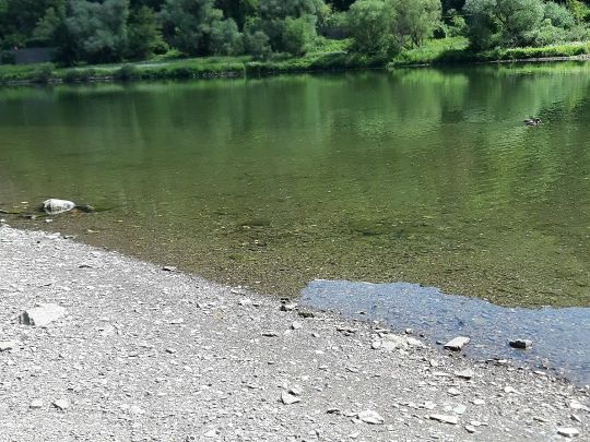 Elzbach (Moselkern)-0