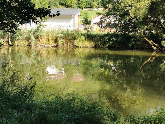 Kocher (Braunsbach)-1