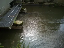 Zusam-Arm Vorderried