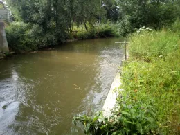 Zusam-Arm Vorderried-0