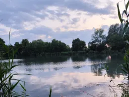 Ratsteiche (Wegeleben)-2