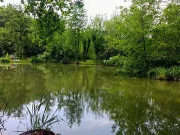 Ratsteiche (Wegeleben)-1