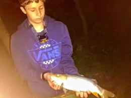 Ratsteiche (Wegeleben)-3