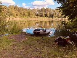 Fauler See (Demen)-1