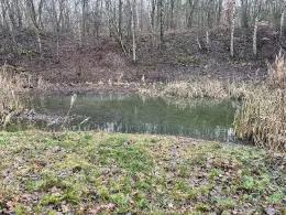 Tongrube Martha (Kleinaga)-1