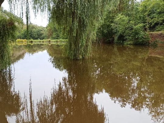 Teichanlage Sonnabendwinkel