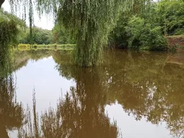 Teichanlage Sonnabendwinkel