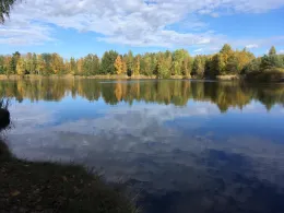 Teichanlage 1 (ASV Bergen)