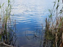 Hertasee (Schwanbeck)