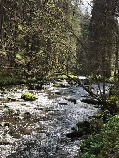 Ach (Bad Bayersoien)-3