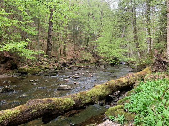 Ach (Bad Bayersoien)-2