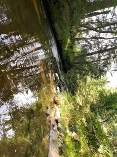 Ach (Bad Bayersoien)-4