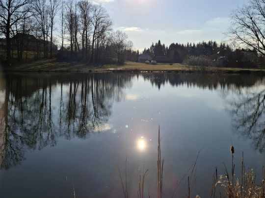 Jendeteiche Gersdorf-4