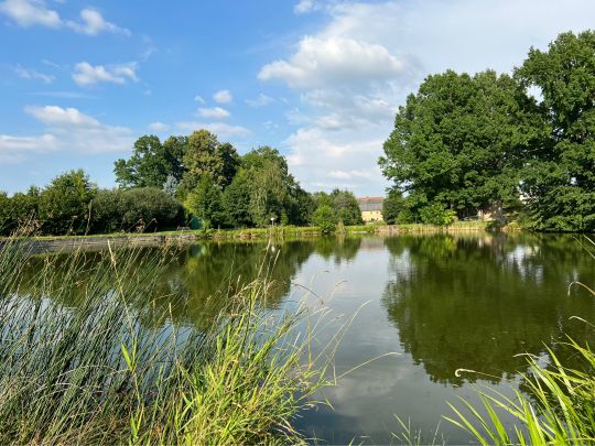 Jendeteiche Gersdorf-1