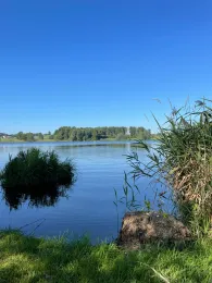 Obersee (Kißlegg)-1