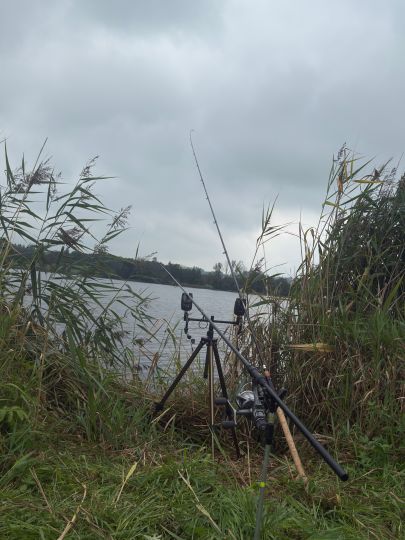 Obersee (Kißlegg)-3