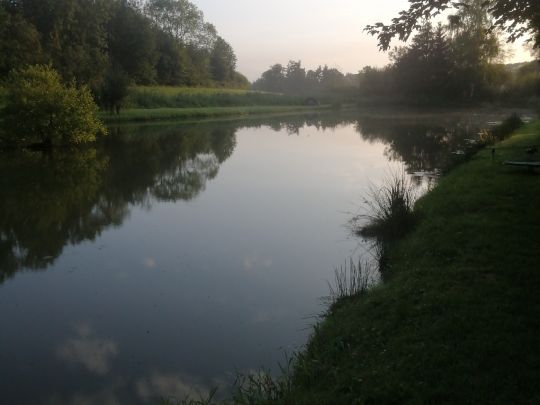 Teiche ANF Lisdorf-3