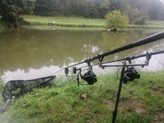 Teiche ANF Lisdorf-1