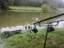 Teiche ANF Lisdorf-1