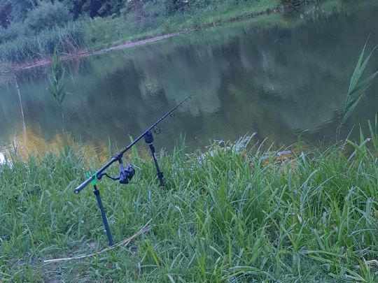 Teiche ANF Lisdorf-2