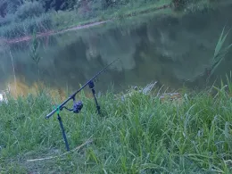 Teiche ANF Lisdorf-2