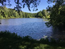 Vereinsgewässer ASV Marpingen-1