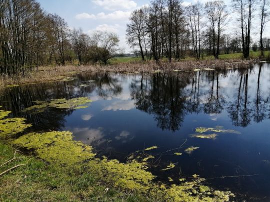 Biotop Tanneberg angeln